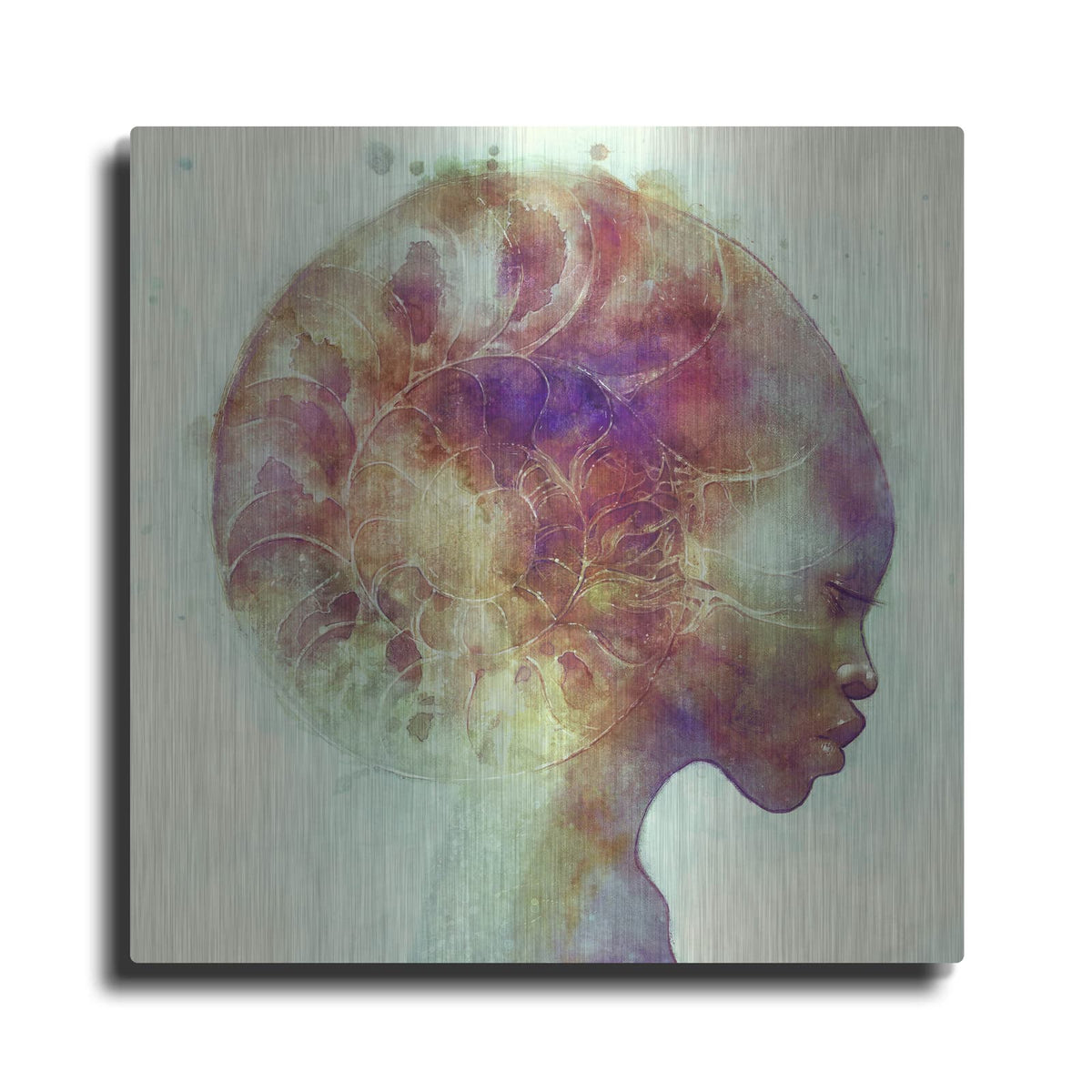 'Ammon' by Anna Dittman – Metal Wall Art