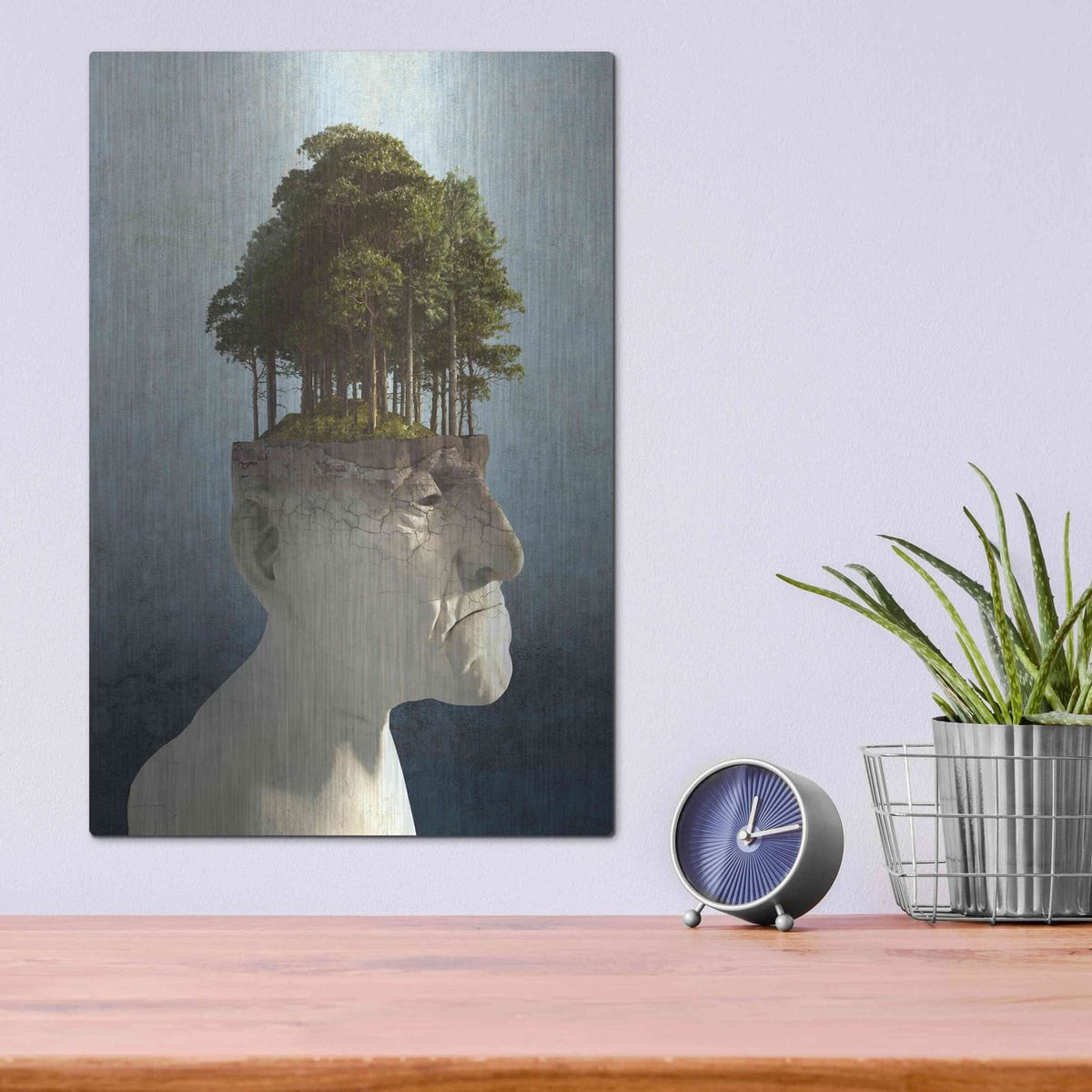 'Personal Growth' by Cynthia Decker – Metal Wall Art, 12x16 room view