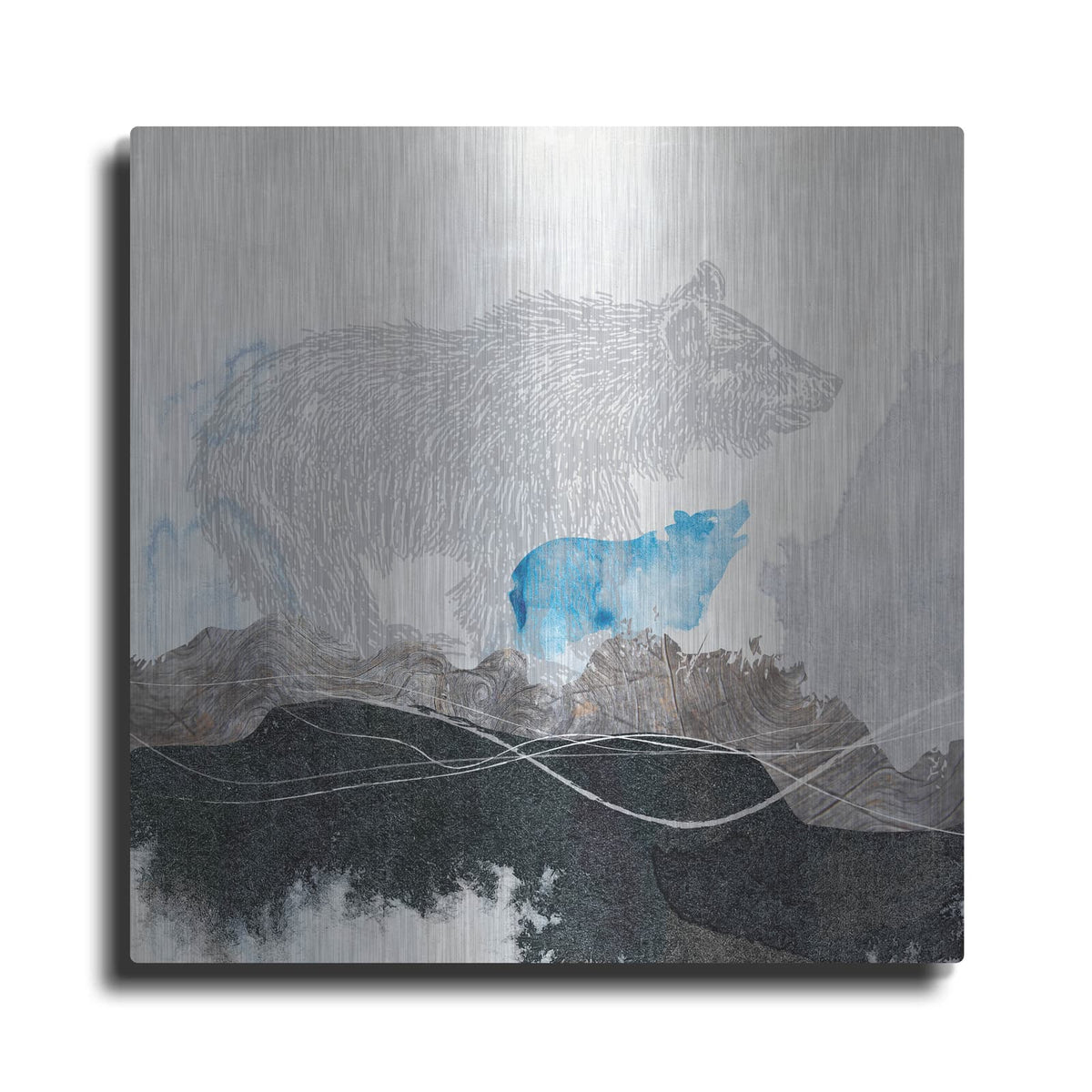 'Bear 1' by Louis Duncan – Metal Wall Art