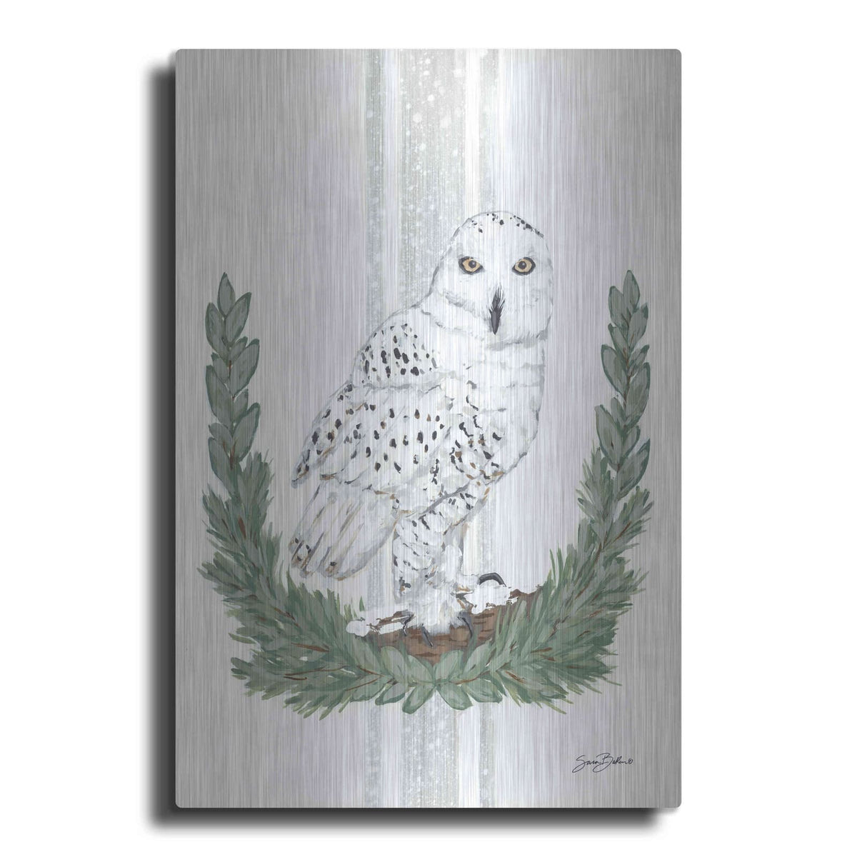 'Arctic Winter Owl' by Sara Baker – Metal Wall Art