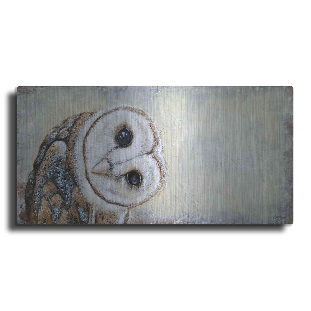 'Curiosity' by Britt Hallowell – Metal Wall Art