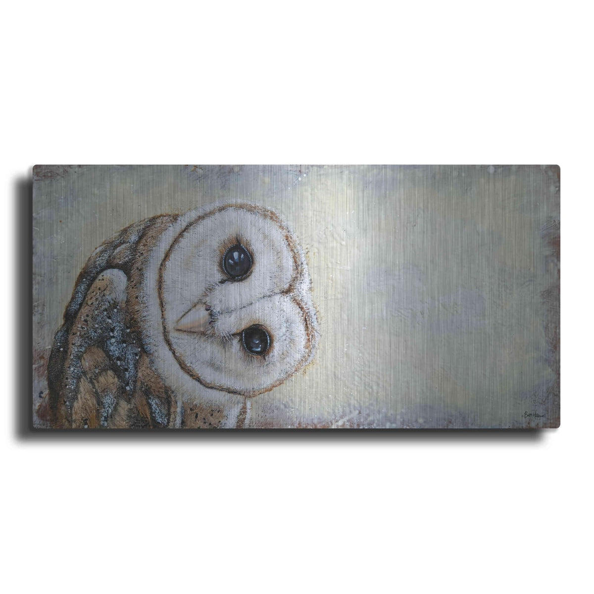 'Curiosity' by Britt Hallowell – Metal Wall Art