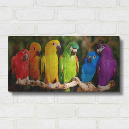 Luxe Metal Art 'Rainbow Parrots' by Mike Jones, Metal Wall Art,24x12