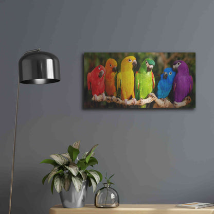 Luxe Metal Art 'Rainbow Parrots' by Mike Jones, Metal Wall Art,24x12