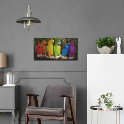 Luxe Metal Art 'Rainbow Parrots' by Mike Jones, Metal Wall Art,24x12