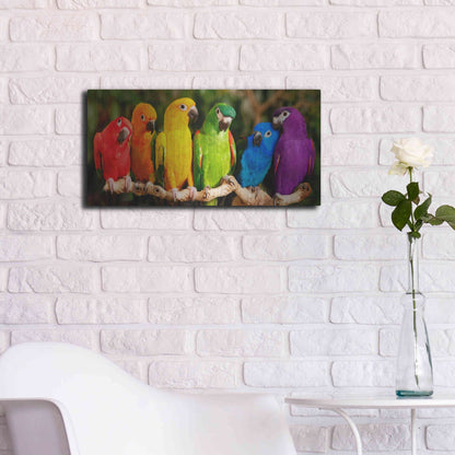 Luxe Metal Art 'Rainbow Parrots' by Mike Jones, Metal Wall Art,24x12