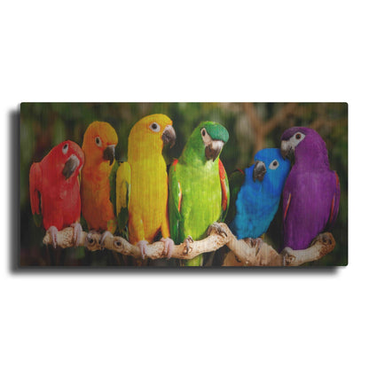 Luxe Metal Art 'Rainbow Parrots' by Mike Jones, Metal Wall Art,24x12