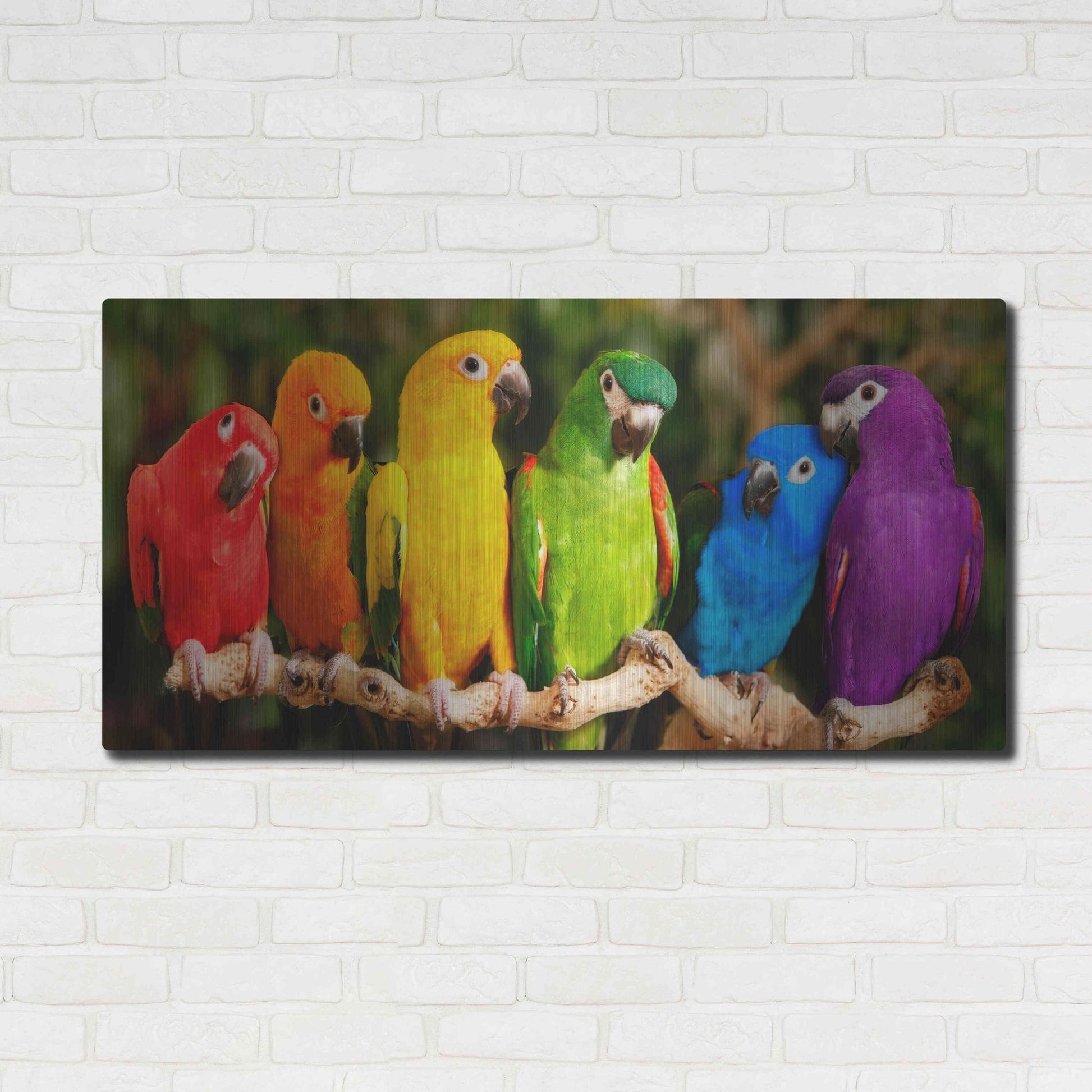 Luxe Metal Art 'Rainbow Parrots' by Mike Jones, Metal Wall Art,48x24