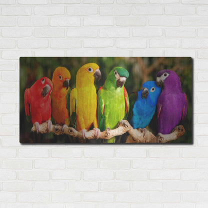 Luxe Metal Art 'Rainbow Parrots' by Mike Jones, Metal Wall Art,48x24