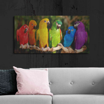Luxe Metal Art 'Rainbow Parrots' by Mike Jones, Metal Wall Art,48x24