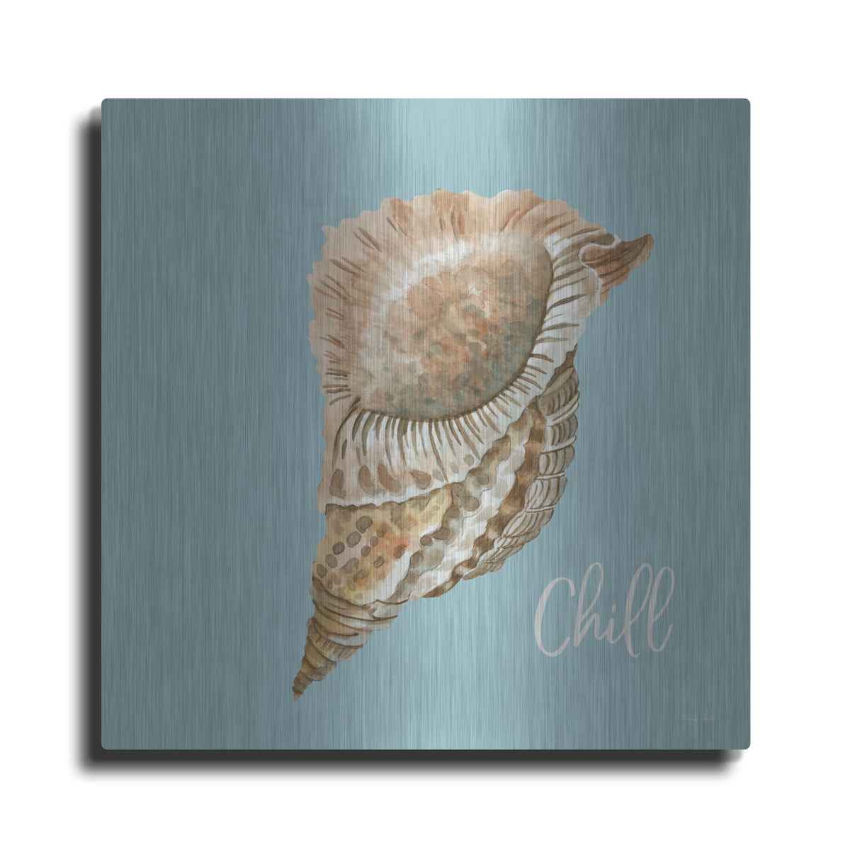 'Chill Seashell' by Cindy Jacobs – Metal Wall Art