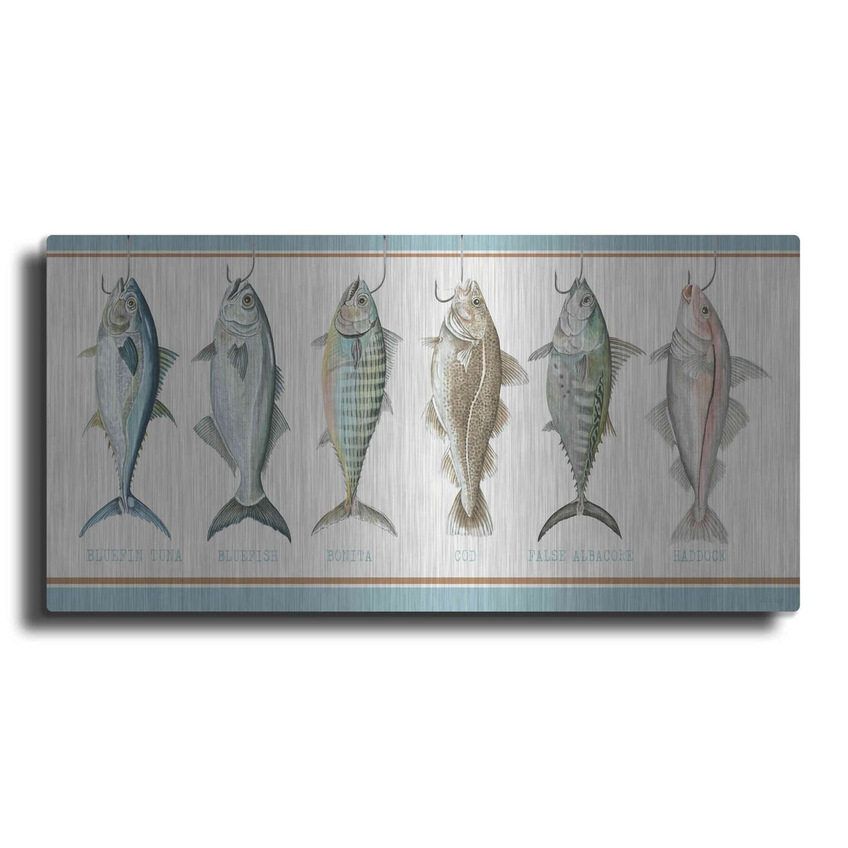'Bunch of Fish' by Cindy Jacobs – Metal Wall Art