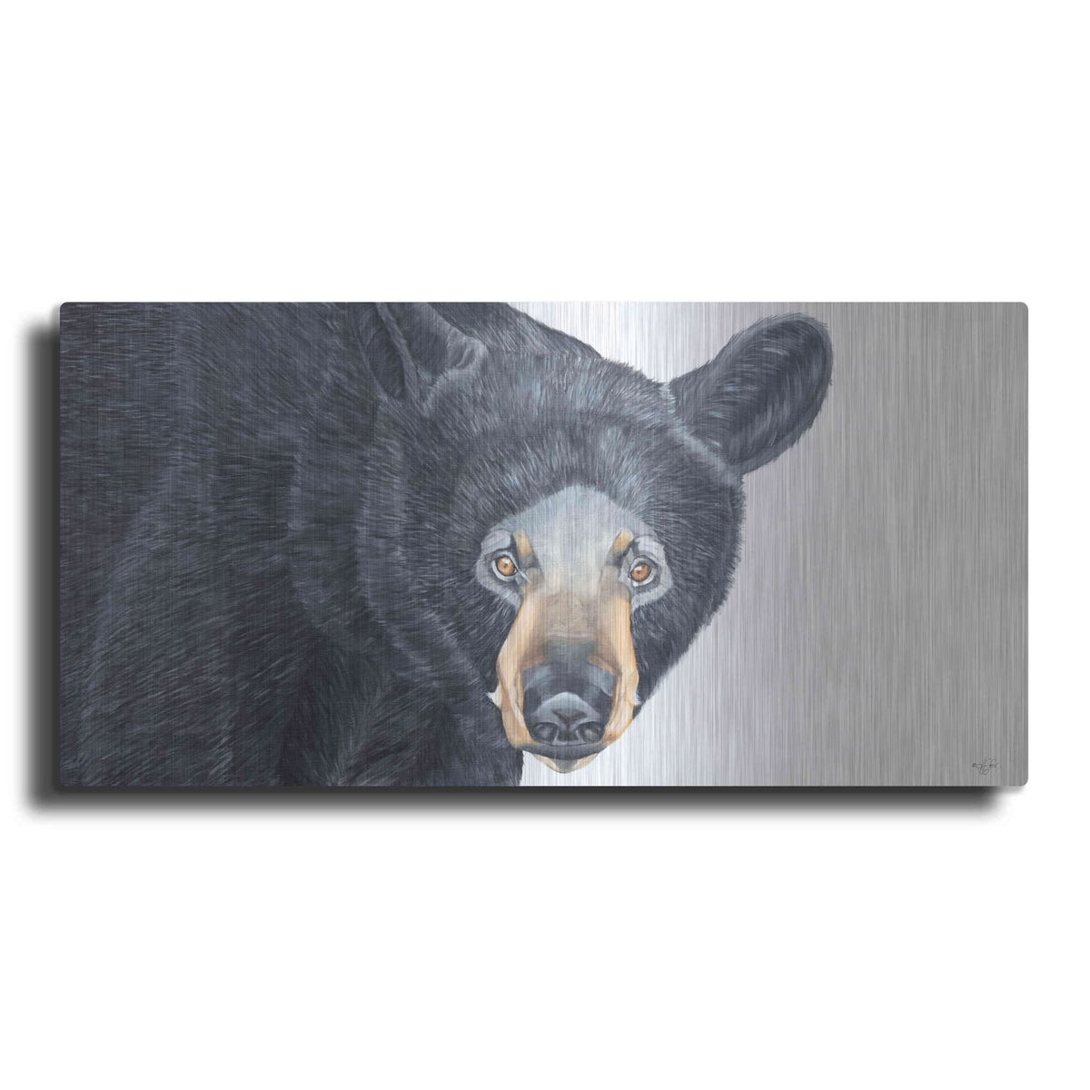 'Black Bear' by Diane Fifer – Metal Wall Art
