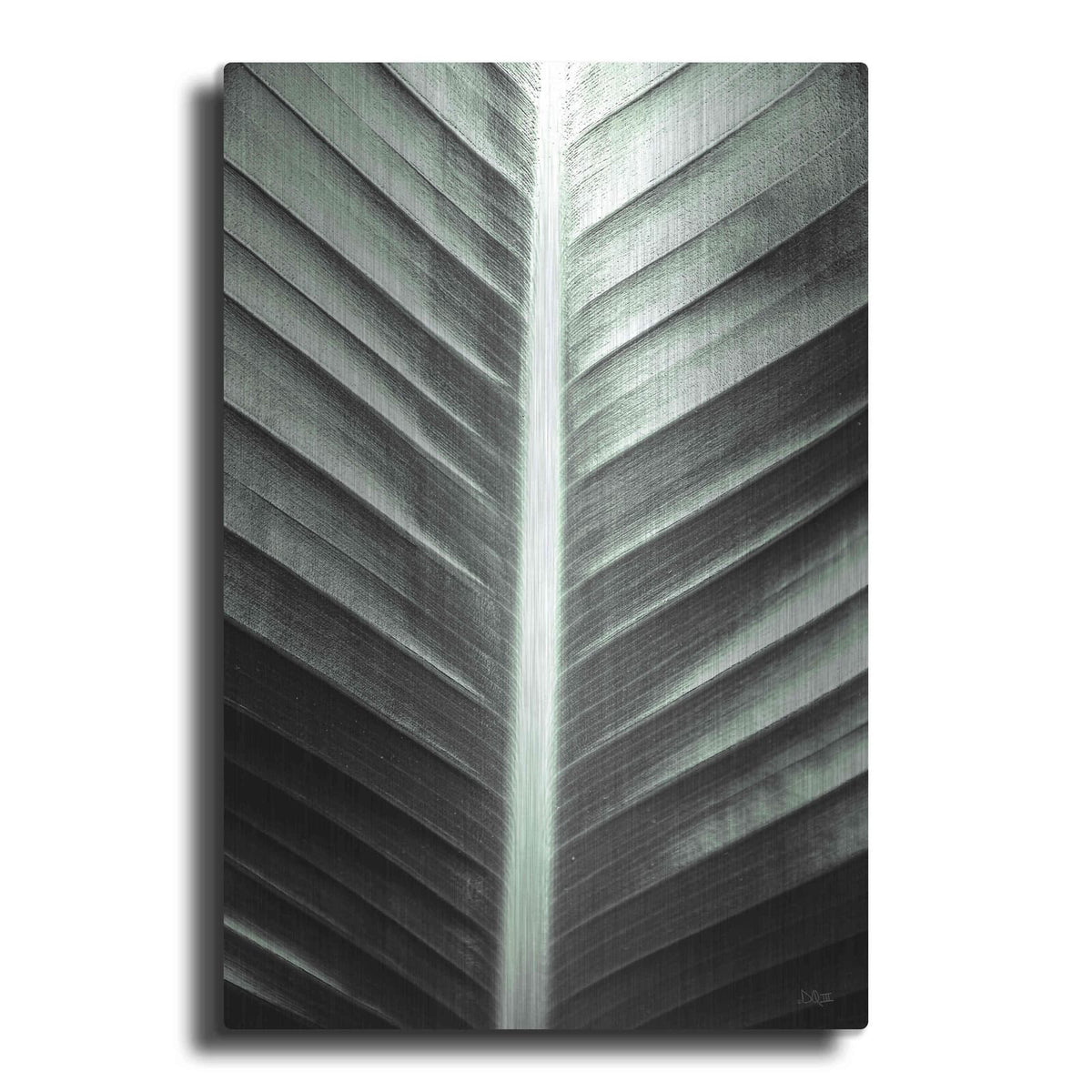 'Leaf Lines' by Donnie Quillen – Metal Wall Art