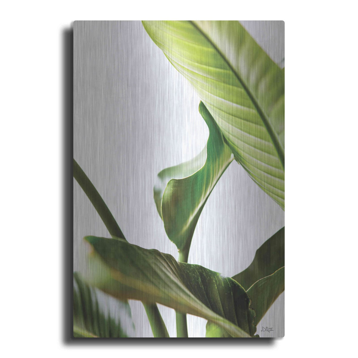 'Plant Leaves' by Donnie Quillen – Metal Wall Art