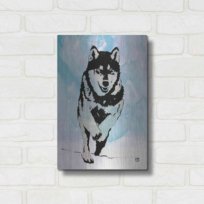 Luxe Metal Art 'Wolf 2' by Giuseppe Cristiano, Metal Wall Art,12x16
