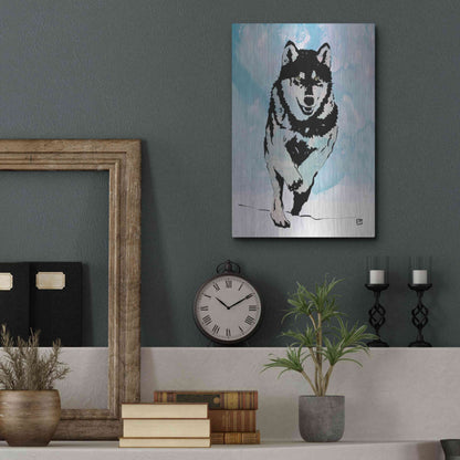 Luxe Metal Art 'Wolf 2' by Giuseppe Cristiano, Metal Wall Art,12x16