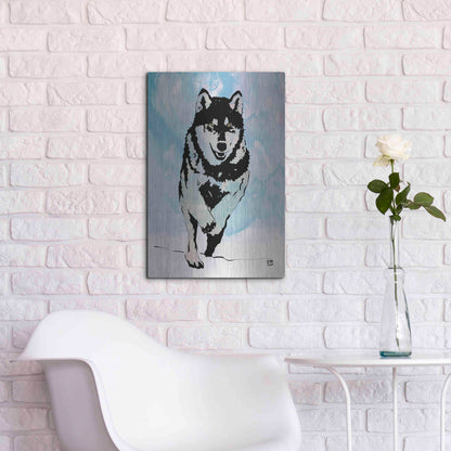 Luxe Metal Art 'Wolf 2' by Giuseppe Cristiano, Metal Wall Art,16x24