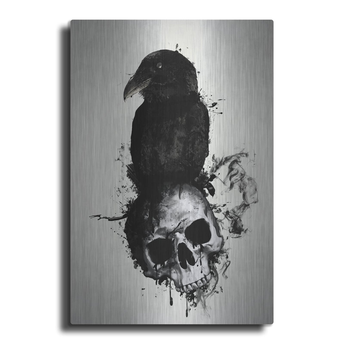 'Raven and Skull' by Nicklas Gustafsson – Metal Wall Art