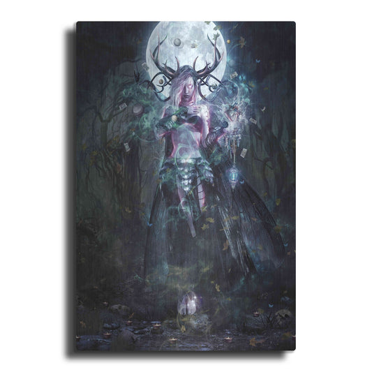 Luxe Metal Art 'The Dreamcatcher' by Cameron Gray, Metal Wall Art