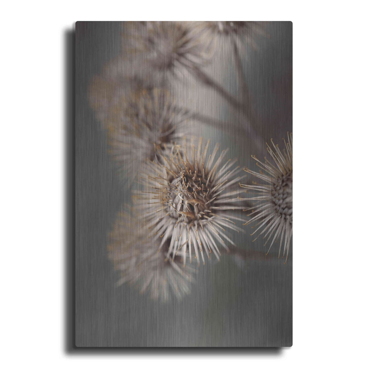'Avantgarde' by Design Fabrikken – Metal Wall Art