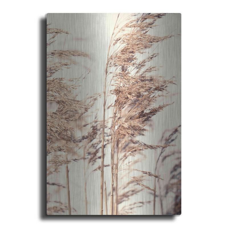'Reed 1' by Design Fabrikken – Metal Wall Art