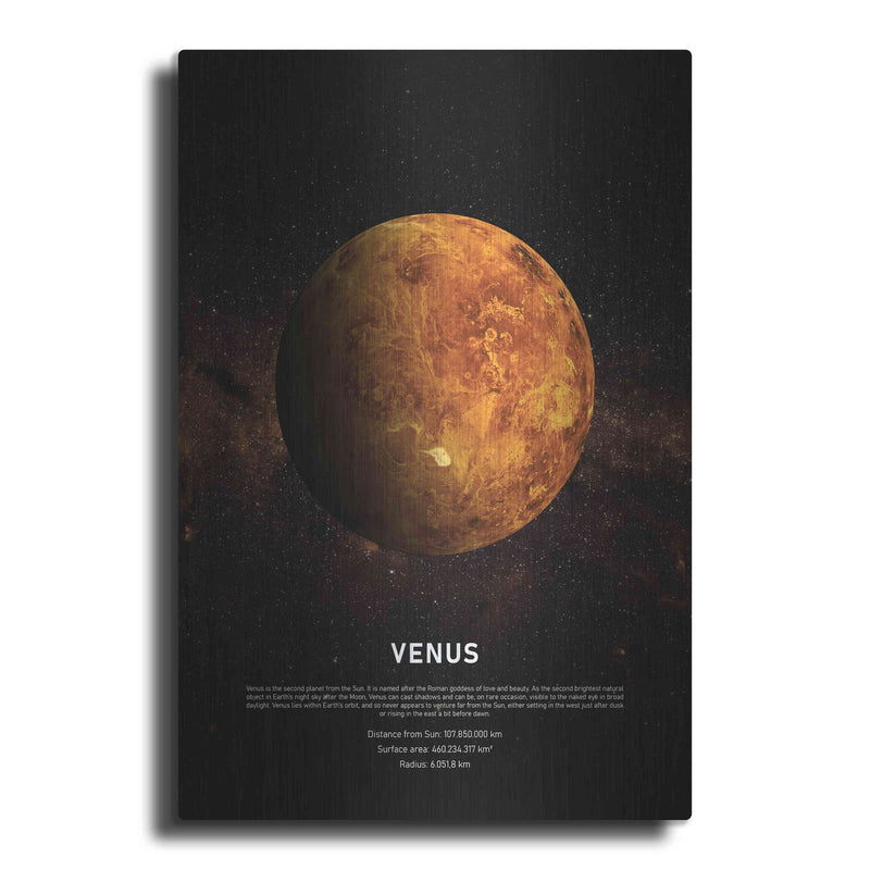 'Venus' by Design Fabrikken – Metal Wall Art