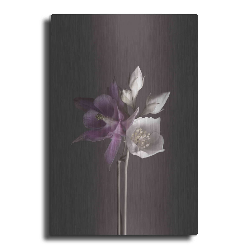 'Virtue 2' by Design Fabrikken – Metal Wall Art