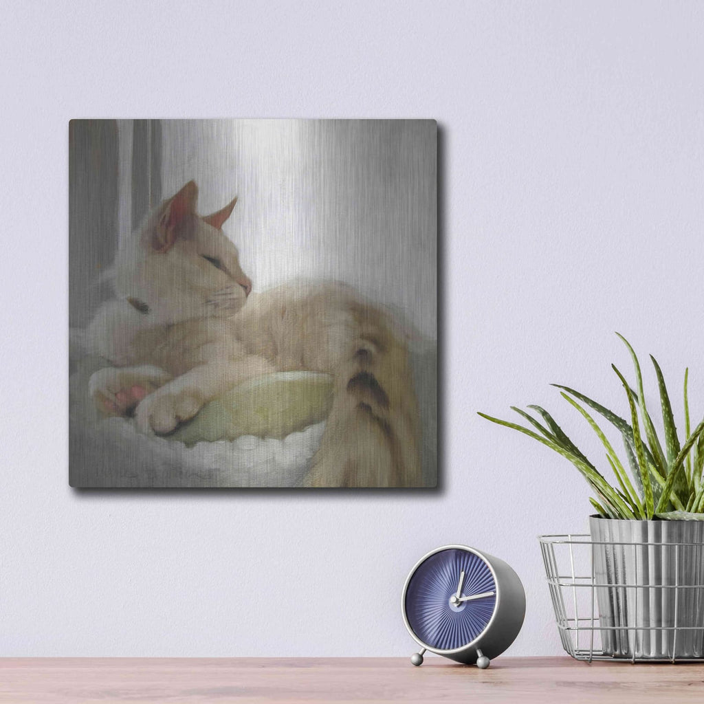 'Through the Window' by Diane Hoeptner – Metal Wall Art, 12x12 room view
