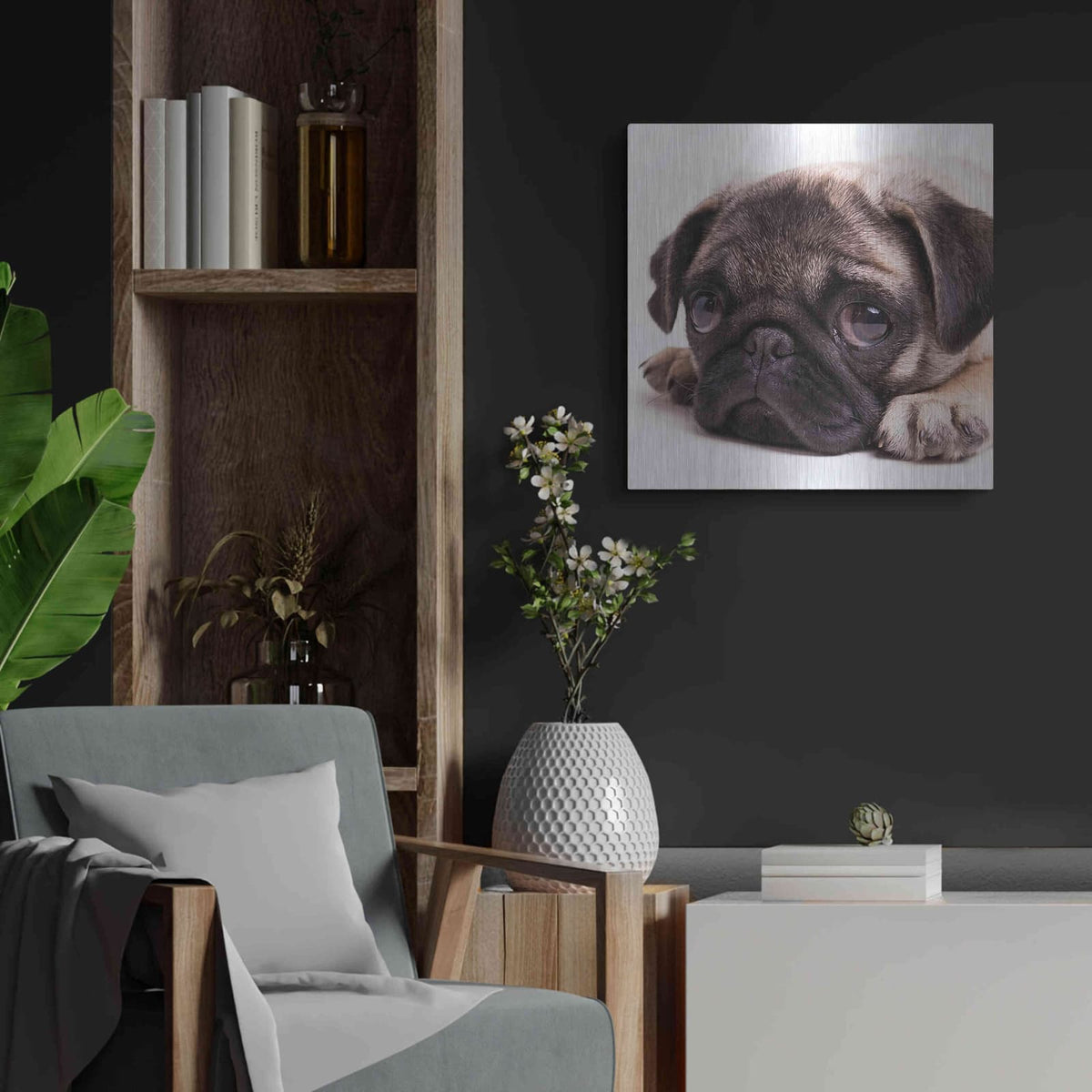 'Sad Sack Pug' by Edward M. Fielding – Metal Wall Art, 24x24 room view