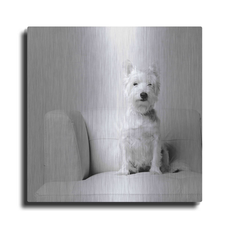 'White on White' by Edward M. Fielding – Metal Wall Art