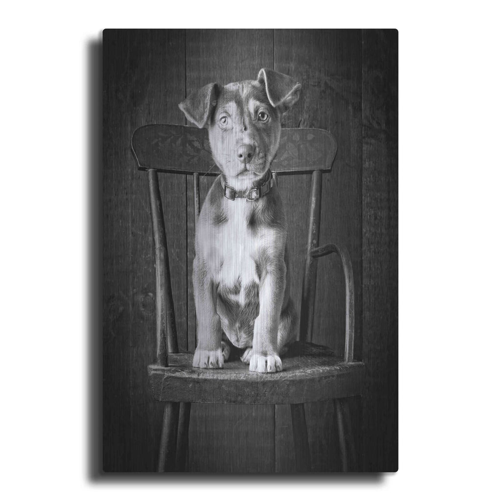 'Mutt Black & White' by Edward M. Fielding – Metal Wall Art