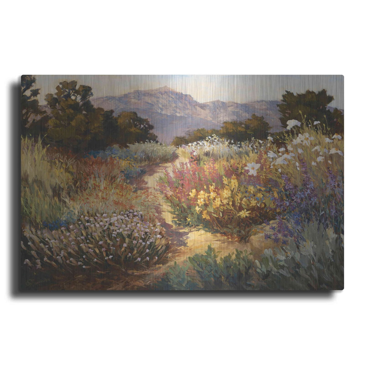 'Spring Trails' by Ellie Freudenstein – Metal Wall Art