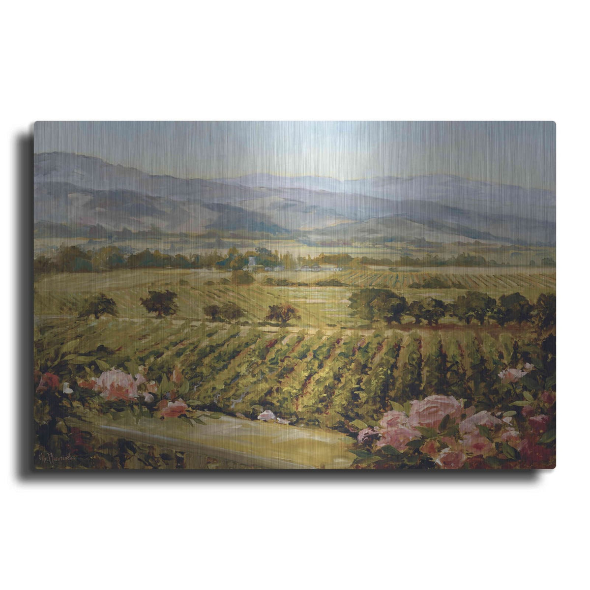 'Vineyards to Vaca Mountains' by Ellie Freudenstein – Metal Wall Art
