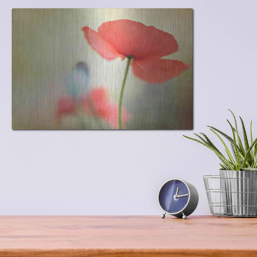 'Poppy' by Kim Fearheiley – Metal Wall Art, 16x12 room view