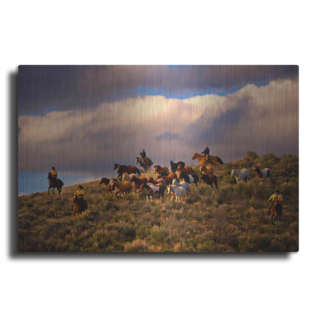 'Chasing Thunder' by Lisa Dearing – Metal Wall Art