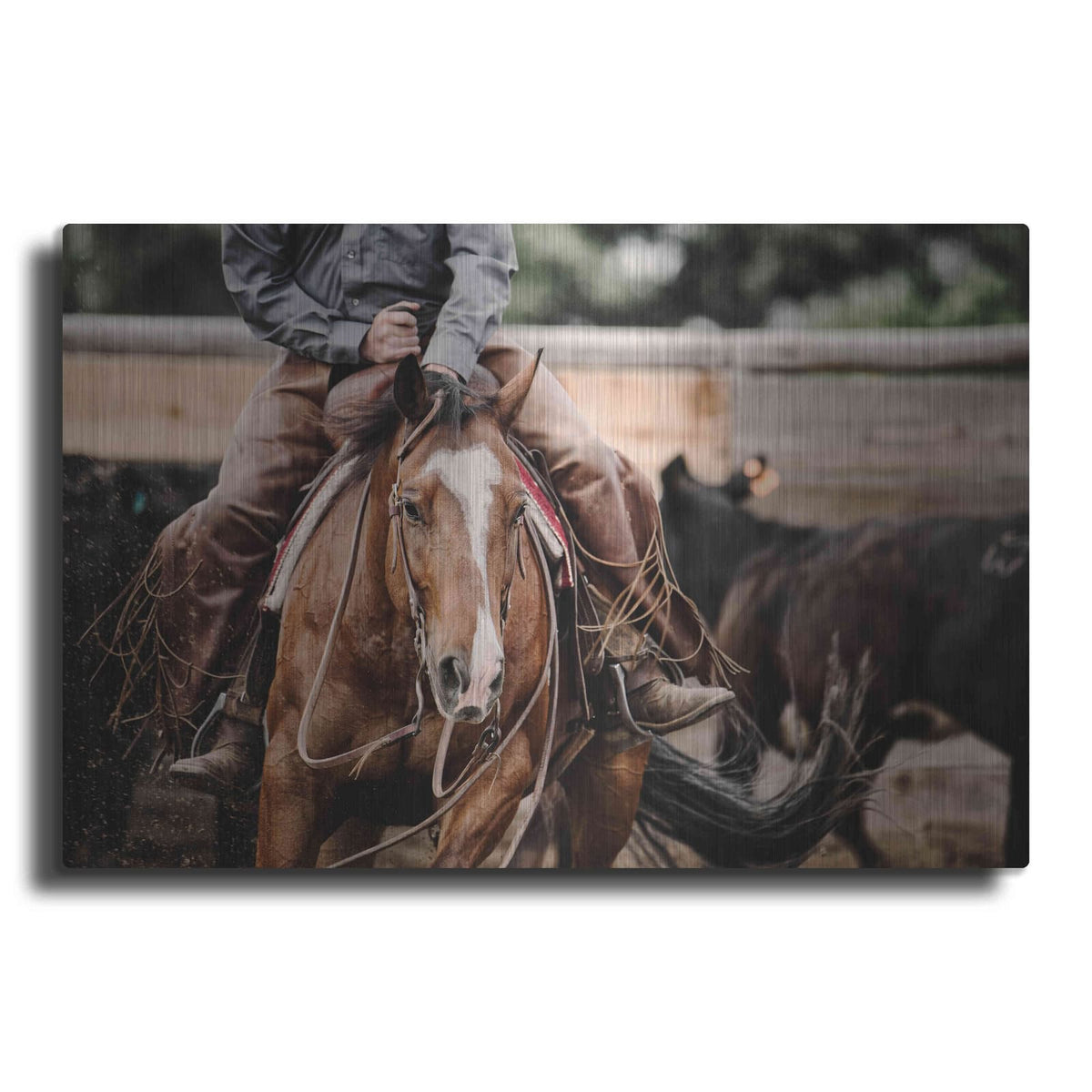 'Cutting Horse' by Lisa Dearing – Metal Wall Art