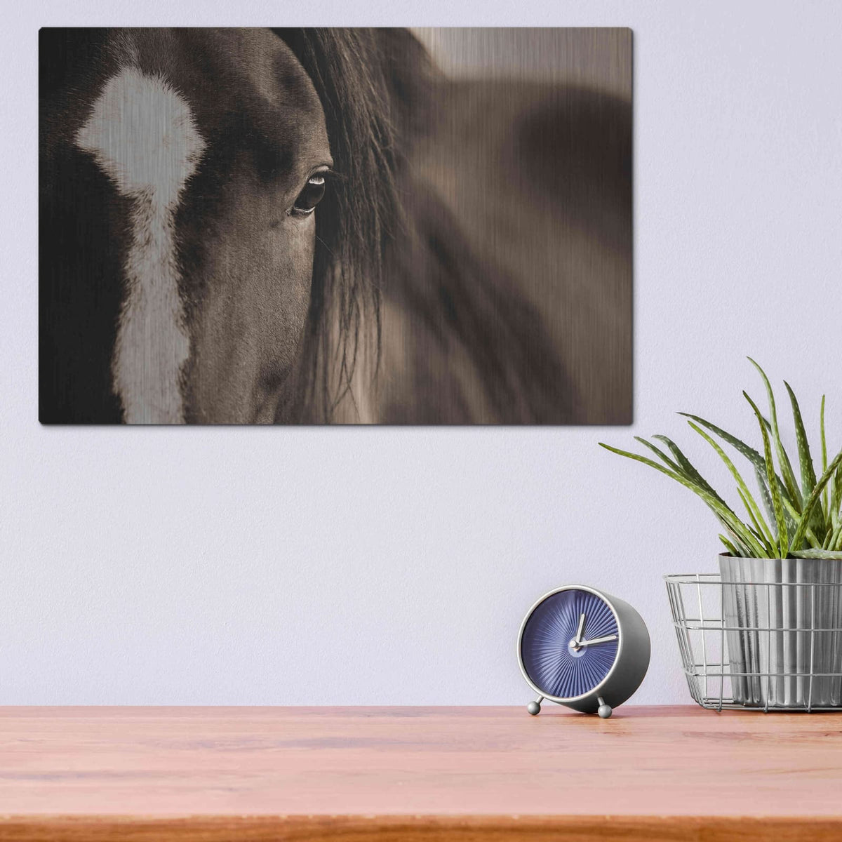 'Dark Eyes' by Lisa Dearing – Metal Wall Art, 16x12 room view