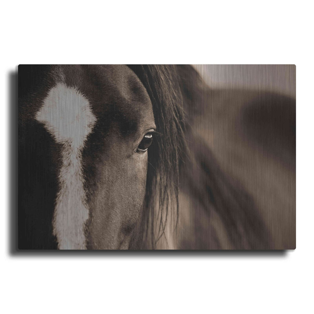 'Dark Eyes' by Lisa Dearing – Metal Wall Art