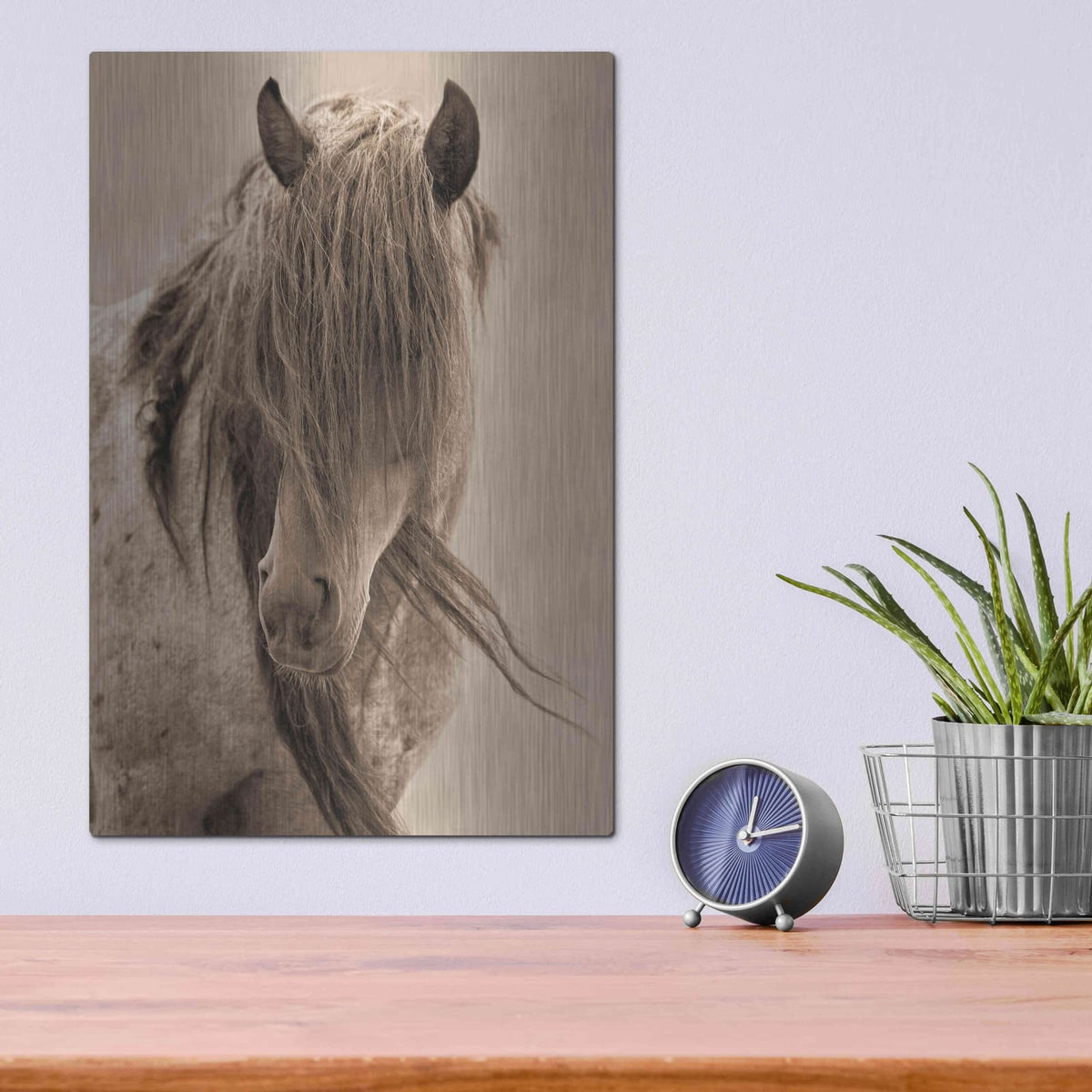 'Freedom' by Lisa Dearing – Metal Wall Art, 12x16 room view