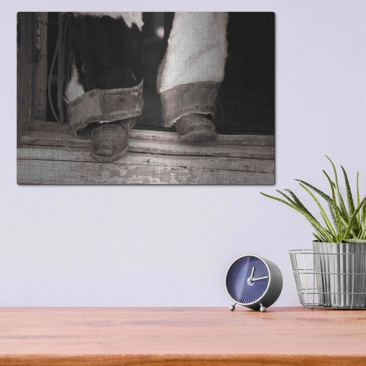 'Furry Chaps' by Lisa Dearing – Metal Wall Art, 16x12 room view