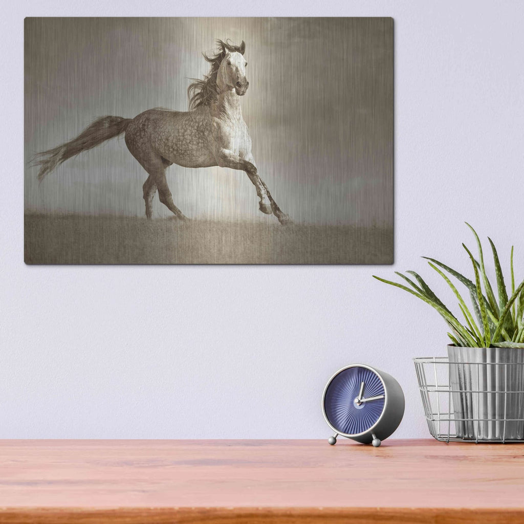 'Like the Wind' by Lisa Dearing – Metal Wall Art, 16x12 room view