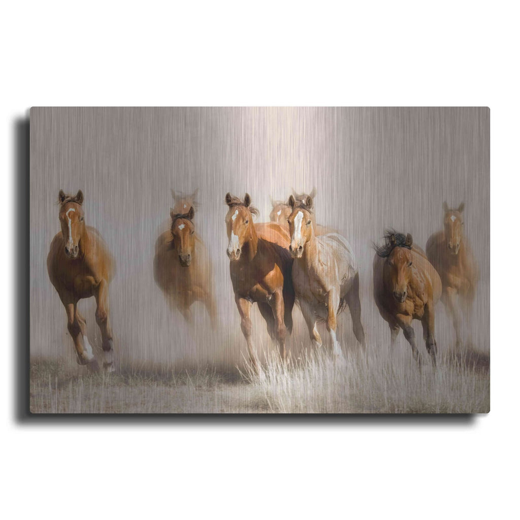 'Outlaws' by Lisa Dearing – Metal Wall Art