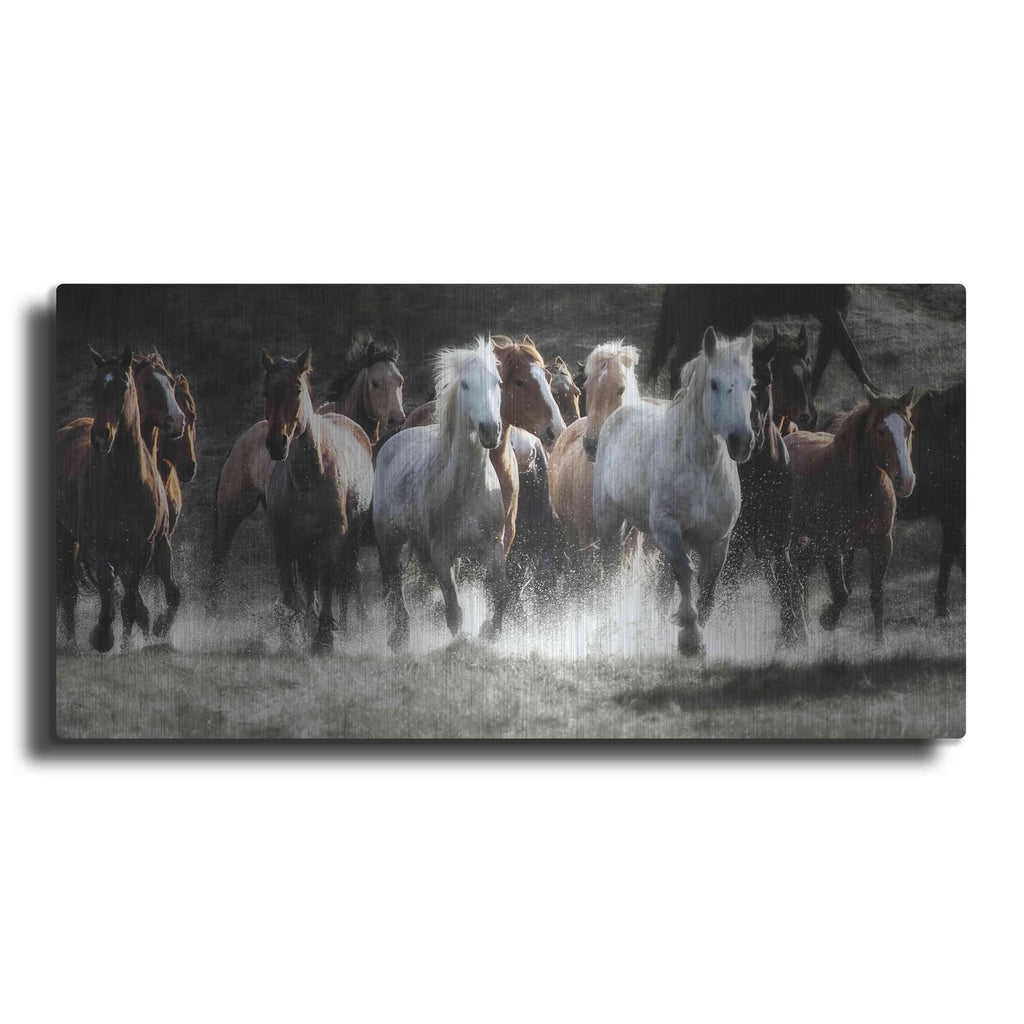'Renegades' by Lisa Dearing – Metal Wall Art