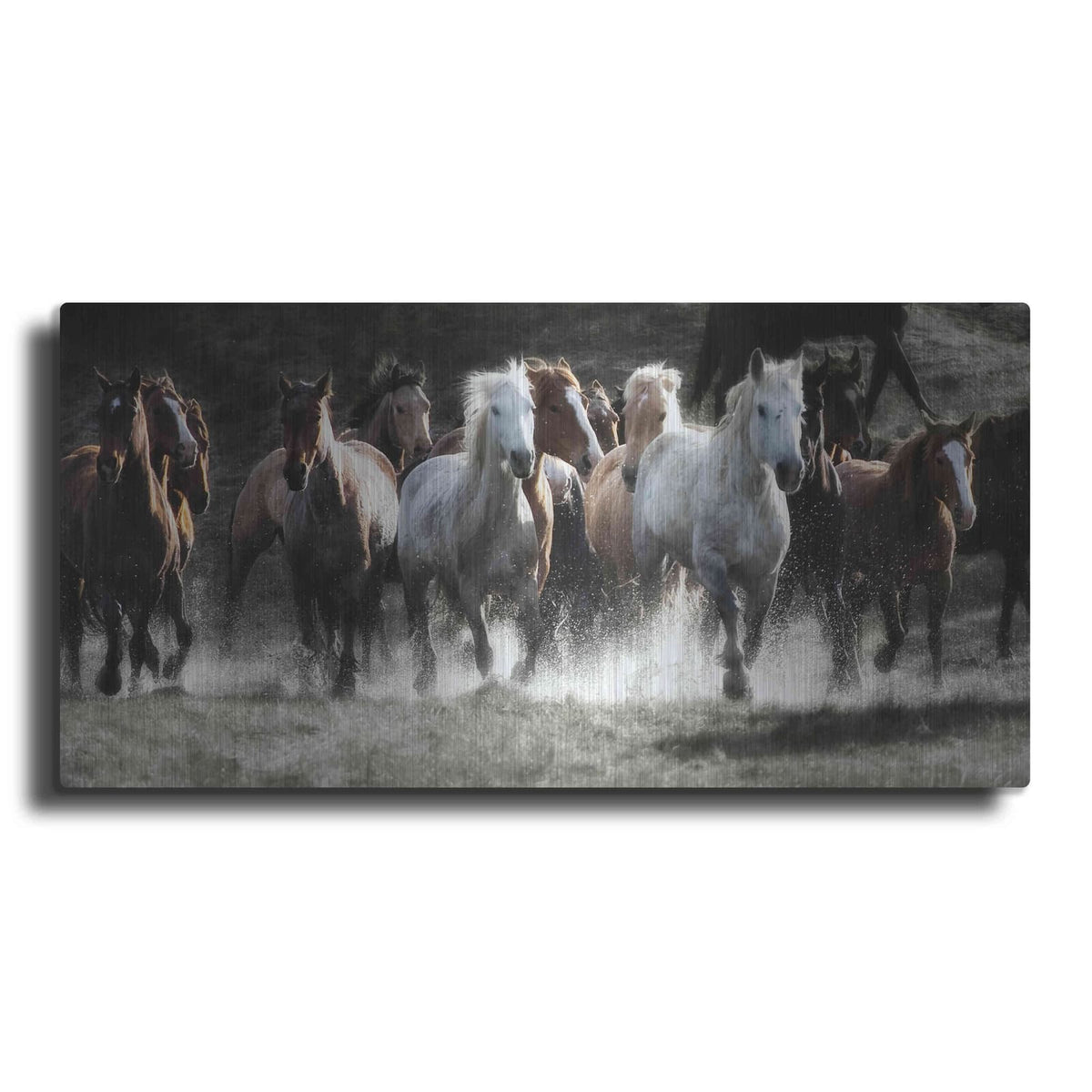 'Renegades' by Lisa Dearing – Metal Wall Art