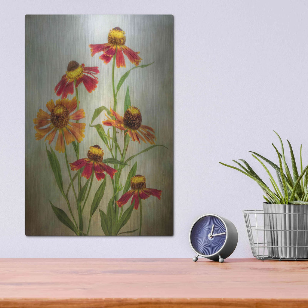 'Cabaret' by Mandy Disher – Metal Wall Art, 12x16 room view