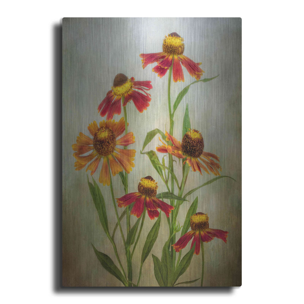 'Cabaret' by Mandy Disher – Metal Wall Art