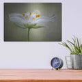 'Summer Swirl' by Mandy Disher – Metal Wall Art, 16x12 room view