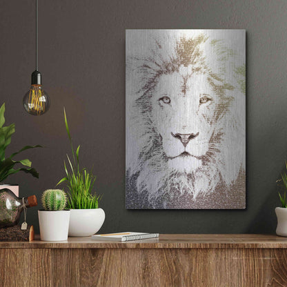 Luxe Metal Art 'Lion' by Paula Belle Flores, Metal Wall Art,12x16