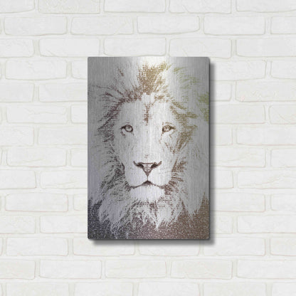 Luxe Metal Art 'Lion' by Paula Belle Flores, Metal Wall Art,16x24